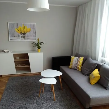Apartment Comfy Czarnowiejska